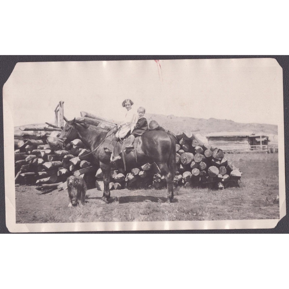 Vtg Snapshot 1920s "Tatham's Wood Pile" Woman Child Horse Dog Log Cabin